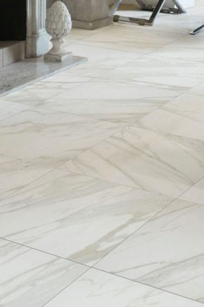 White porcelain stoneware: texture features