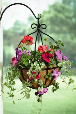 How to choose a hanging planter for flowers?