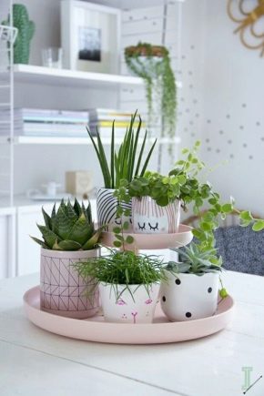 Features and design options for decorative flower pots