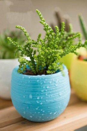 Plastic pots for flowers: types, sizes and designs