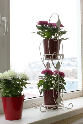 Stands for flowers on the windowsill: features and types