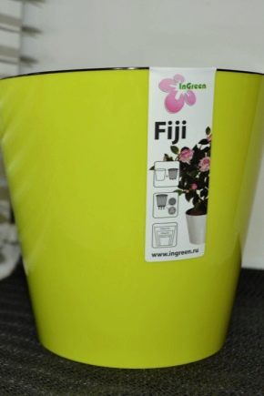 Saveti za izbor InGreen Fiji saksije