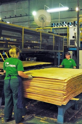 How is plywood made?