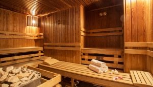 Sauna 6 po 3: značajke rasporeda