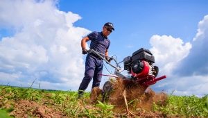 Što je hodni traktor i kako izgleda?