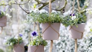 Hanging flower pots: how to choose and hang?