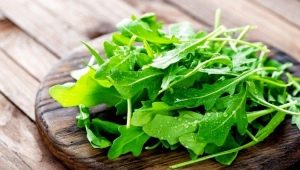 When and how to collect arugula?