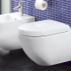 Prepoznatljive karakteristike Villeroy & Boch WC-a