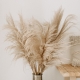 Pampas grass is a trendy decorative element