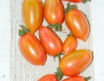 Tomato Candy slatke ledenice