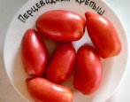 Rajčica Jaka paprika