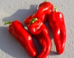 španjolska slatka paprika