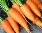 Carrot Carotel